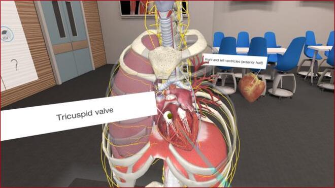 خلفية 2 تحميل العاب المحاكاة للكمبيوتر 3D Organon VR Anatomy Torrent Download Direct Link