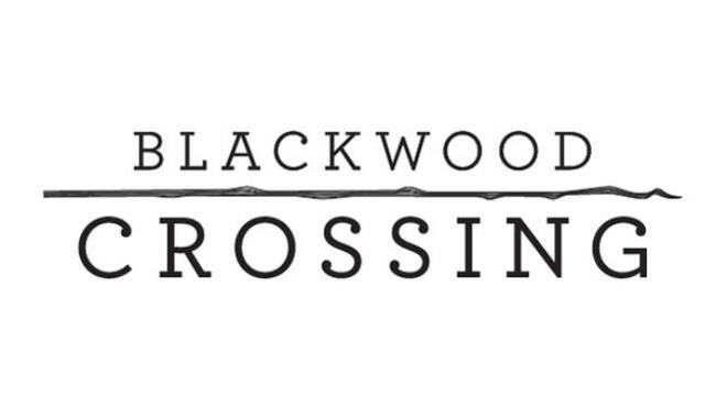 تحميل لعبة Blackwood Crossing مجانا