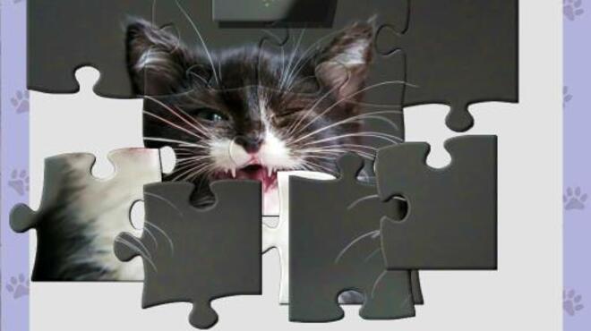 خلفية 2 تحميل العاب الالغاز للكمبيوتر 1001 Jigsaw. Cute Cats 4 Torrent Download Direct Link