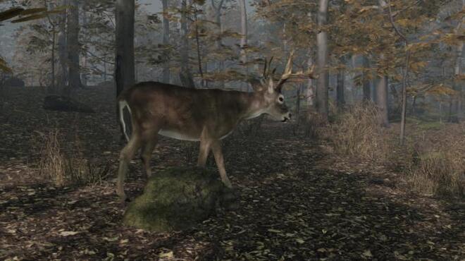 خلفية 1 تحميل العاب اطلاق النار للكمبيوتر Pro Deer Hunting 2 Torrent Download Direct Link